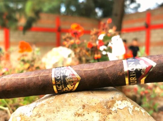 Sampler de puros formatos churchill o robusto