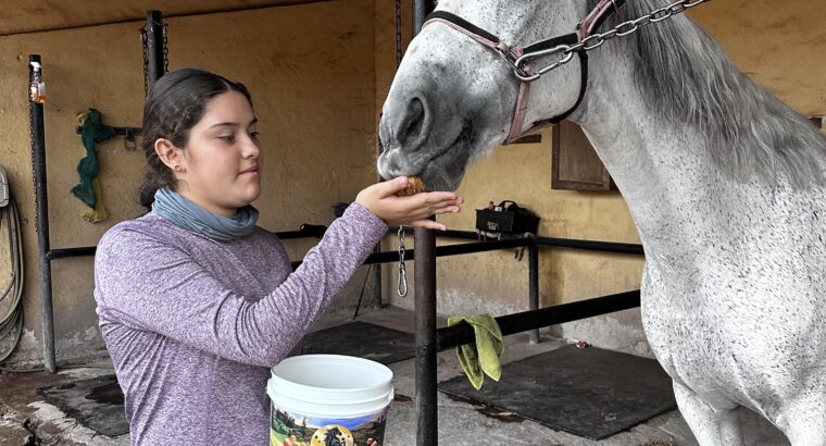 Happy Horse Healty snacks