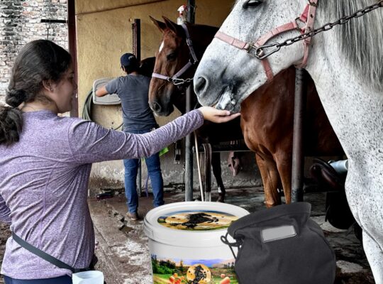 Happy Horse Healty snacks